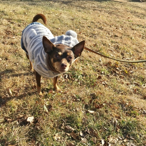 a0291132_13012517.jpeg