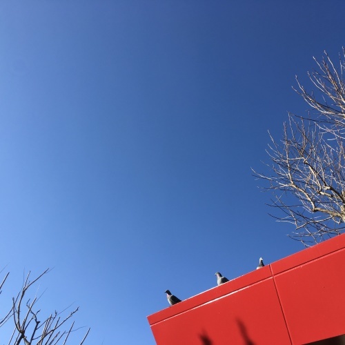 a0291132_13015967.jpeg