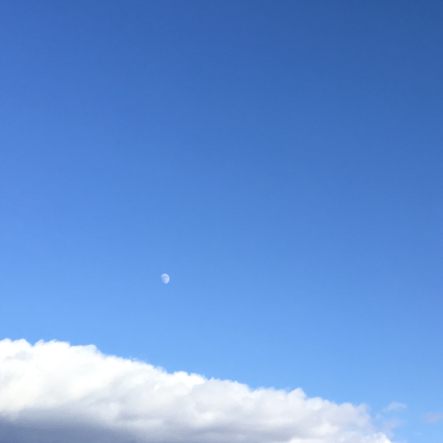 a0291132_13022146.jpeg