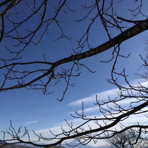 a0291132_13223400.jpeg