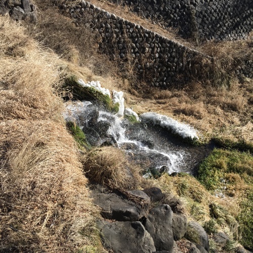 a0291132_13402660.jpeg