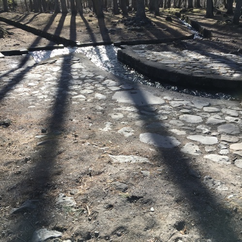 a0291132_13423977.jpeg