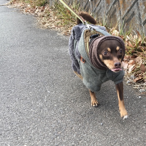 a0291132_17404704.jpeg