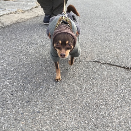 a0291132_17450910.jpeg