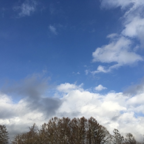a0291132_17474676.jpeg