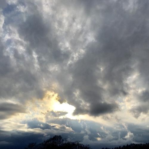 a0291132_17485728.jpeg