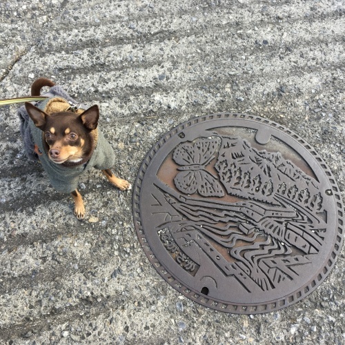 a0291132_17502774.jpeg