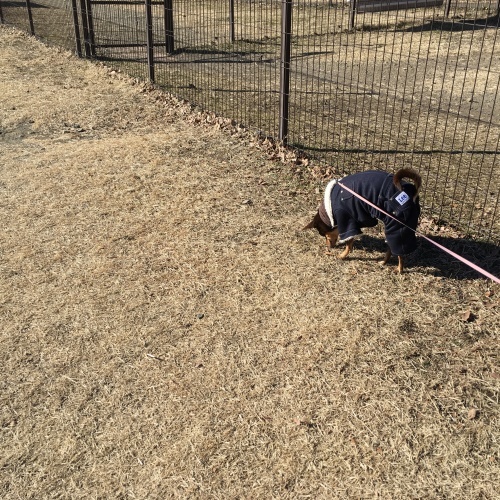 a0291132_20274249.jpeg