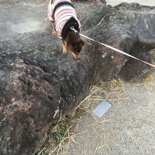 a0291132_21170951.jpeg