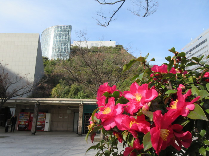 b0014732_19060586.jpg