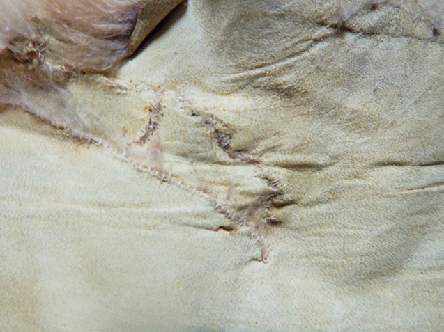 f0118332_22115147.jpg