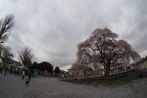 b0042334_15571315.jpg