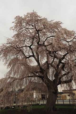 b0042334_15571934.jpg