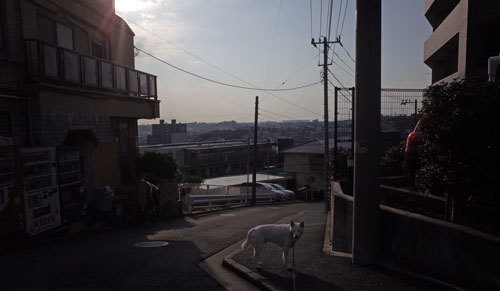 a0117039_19070509.jpg