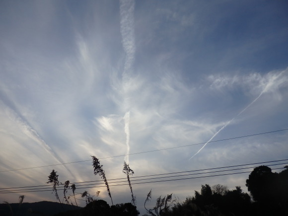 a0054240_20583359.jpg