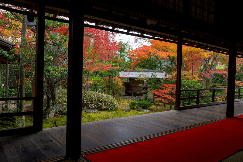 京都の紅葉2017 染まる大法院_f0155048_034078.jpg