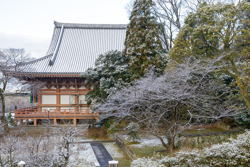 雪の京都2018　智積院の雪景色_f0155048_22543158.jpg