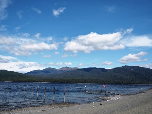 大迫力のユニークな地形！Fiordland National ParkでMilford Soundのクルージング ～NZバスの旅 18日目～_c0351060_02494939.jpg