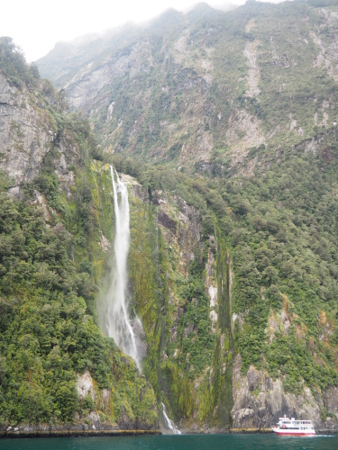 大迫力のユニークな地形！Fiordland National ParkでMilford Soundのクルージング ～NZバスの旅 18日目～_c0351060_02505681.jpg