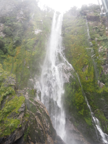 大迫力のユニークな地形！Fiordland National ParkでMilford Soundのクルージング ～NZバスの旅 18日目～_c0351060_02520649.jpg