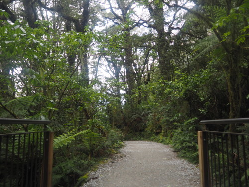 c0351060_02571615.jpg