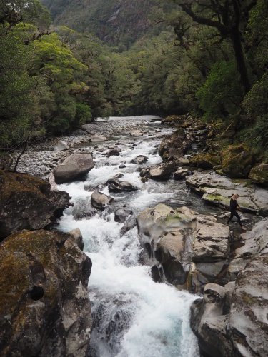 大迫力のユニークな地形！Fiordland National ParkでMilford Soundのクルージング ～NZバスの旅 18日目～_c0351060_02580075.jpg