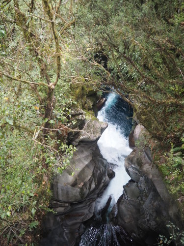 大迫力のユニークな地形！Fiordland National ParkでMilford Soundのクルージング ～NZバスの旅 18日目～_c0351060_02583530.jpg