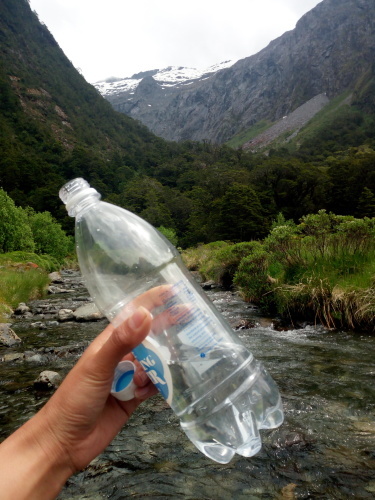 大迫力のユニークな地形！Fiordland National ParkでMilford Soundのクルージング ～NZバスの旅 18日目～_c0351060_23382472.jpg