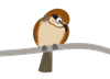 a0331562_199812.gif