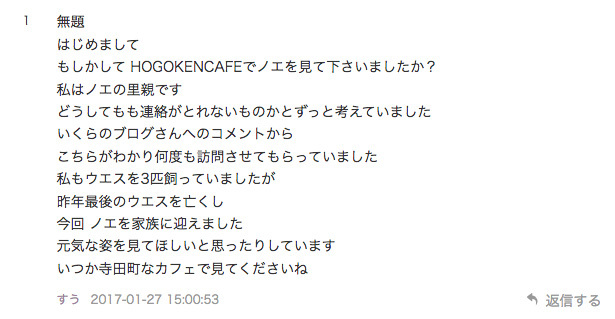 Snowyとノエ。_b0107163_01345918.jpg