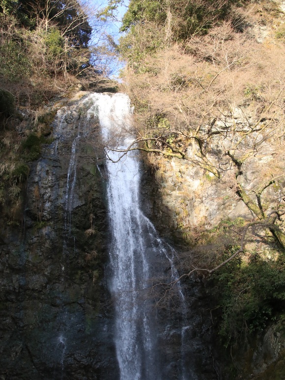 d0202264_837328.jpg