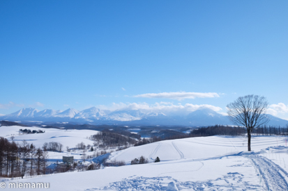 四季彩の丘からの雪景色～1月の美瑛_d0340565_19242557.jpg