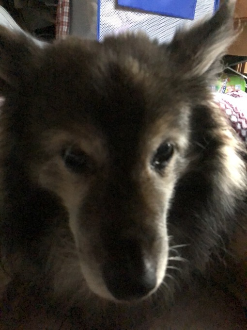 e0151266_06371181.jpeg