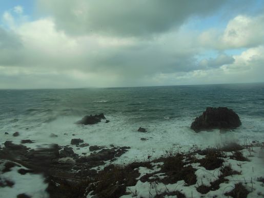 f0233868_21144905.jpg