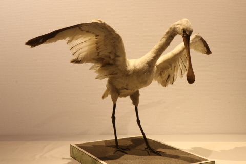 f0228071_21164075.jpg