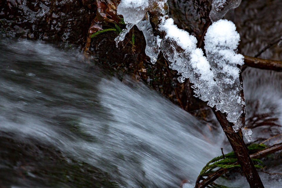 雪景色！　～大原界隈～_b0128581_19035731.jpg