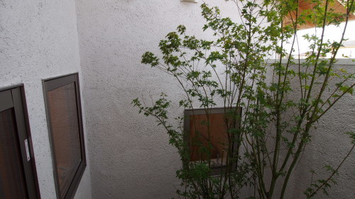 e0064493_17424234.jpg