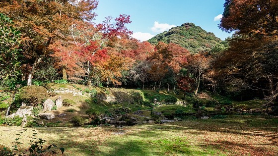 e0176993_07505501.jpg