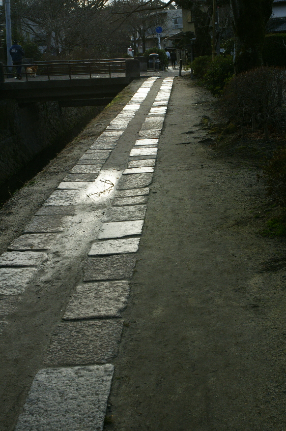 「盛り土」信者、、って。_b0155395_042234.jpg