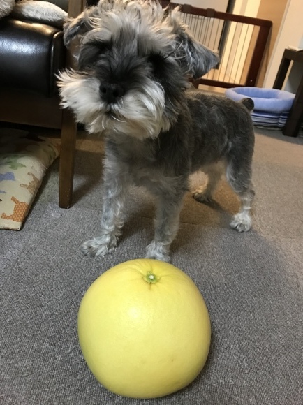b0188998_19202659.jpeg