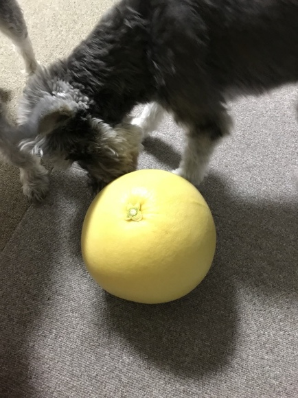 b0188998_19204173.jpeg