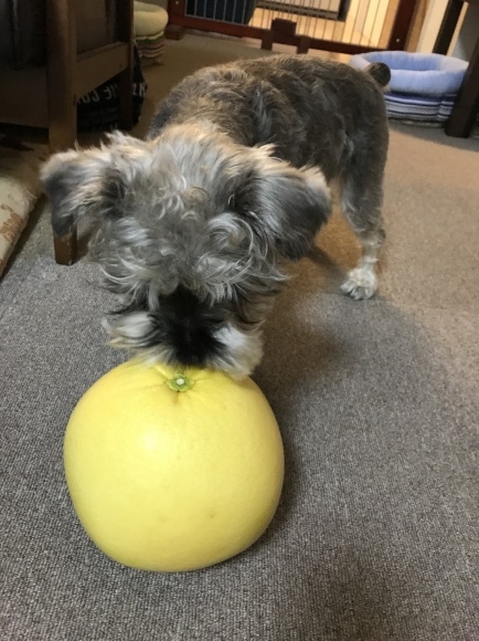 b0188998_19210351.jpeg