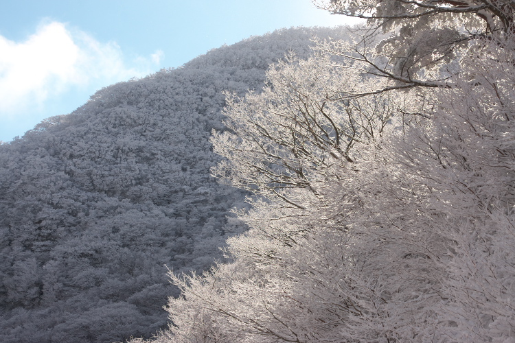 雪の九重へ_f0130601_23122515.jpg