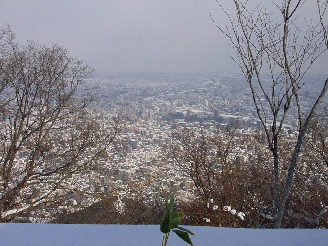 f0157901_15244783.jpg