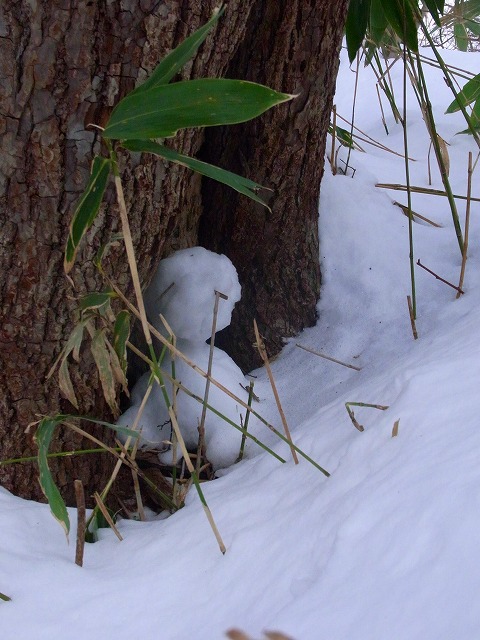 f0157901_15284212.jpg