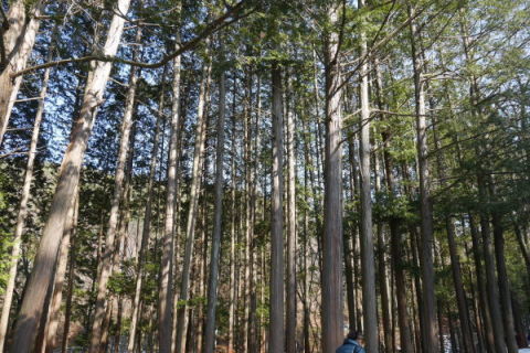 a0140305_02053845.jpg