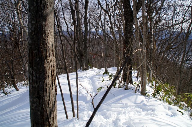 a0345007_11521179.jpg