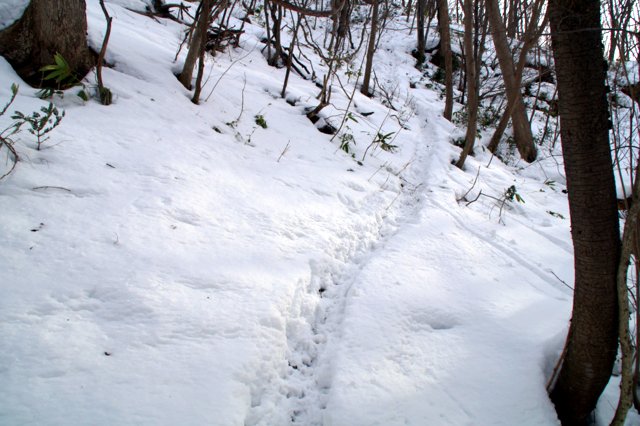 a0345007_11594560.jpg