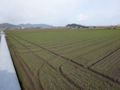 f0231709_00242366.jpg