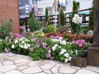 f0325309_20383194.jpg